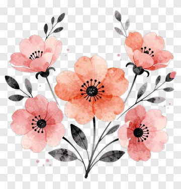 Pink And Orange Poppy Flowers PNG