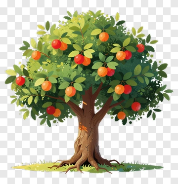 Fruit Tree With Orange Fruits PNG