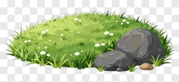 Grass Flowers And Rocks PNG