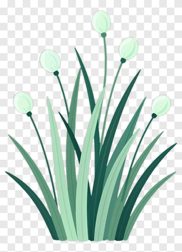 Green Plant With Buds PNG