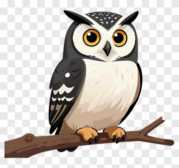 Cartoon Owl Perched On Branch PNG