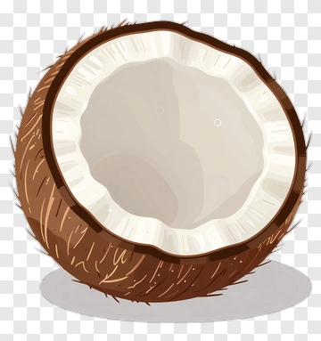 Coconut PNG