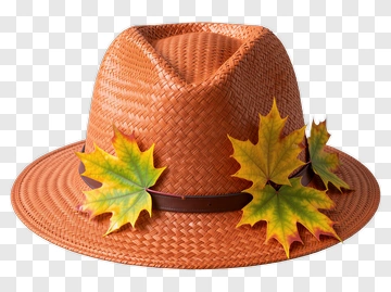 Orange Hat With Maple Leaves PNG