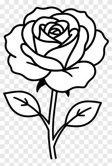Black Line Art Rose With Leaves PNG