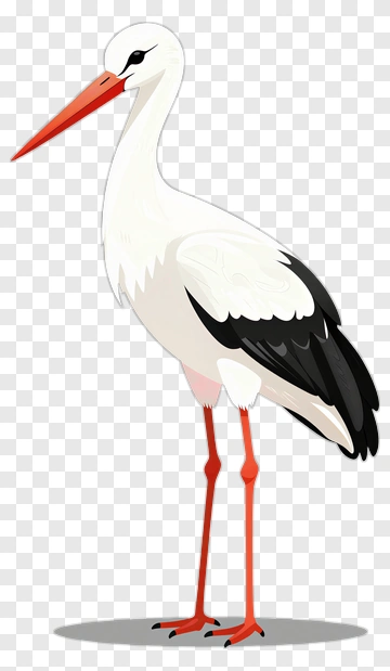 Stork PNG
