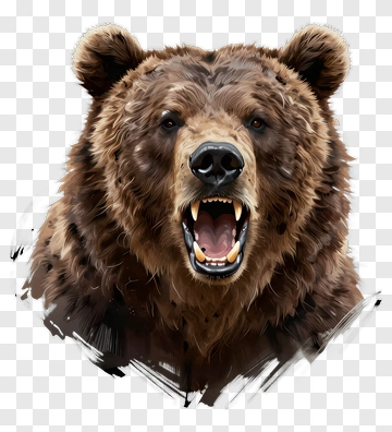 Bear Portrait PNG