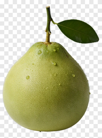 Fresh Pomelo With Leaf PNG