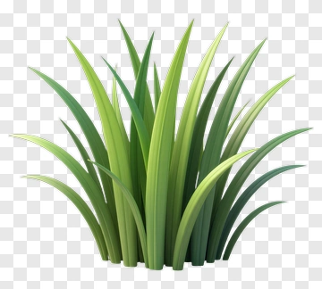 Green Grass Cluster PNG