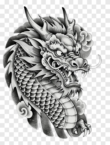 Detailed Black And White Dragon Illustration PNG