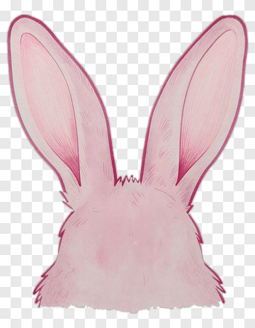 Pink Rabbit PNG