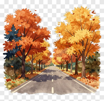 Autumn Road Flanked By Colorful Trees PNG