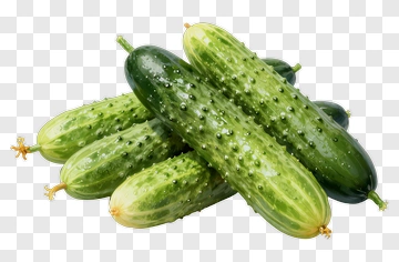 Fresh Cucumbers With Spines PNG