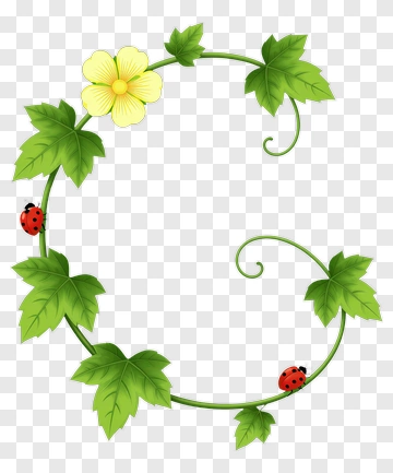 Letter C With Vine Flower And Ladybugs PNG