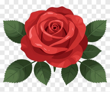 Red Rose With Green Leaves PNG
