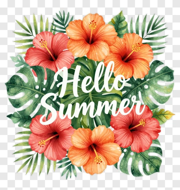 Hello Summer Tropical Design PNG