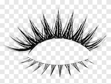 False Lashes PNG