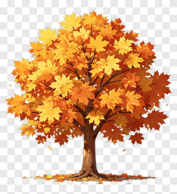 Autumn Maple Tree With Vibrant Leaves PNG