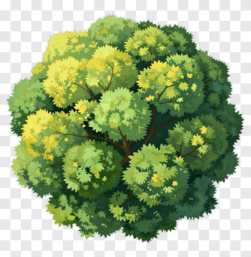 Cartoon Tree With Green And Yellow Leaves PNG
