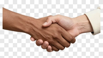 Two Hands Shaking In Agreement PNG