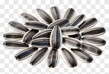 Sunflower Seeds Arranged In A Circular Pattern PNG