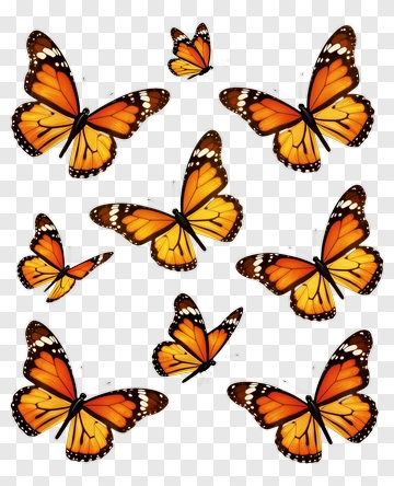 Monarch Butterflies In Flight PNG