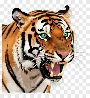 Tiger PNG