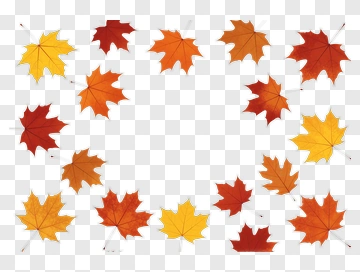 Autumn Maple Leaves Arranged In Circle PNG