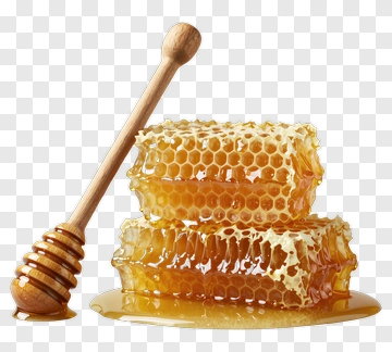 Honeycomb And Honey Dipper PNG