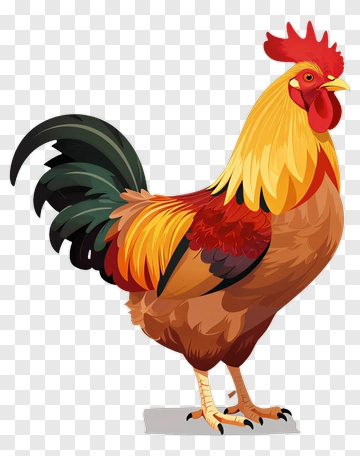 Rooster With Vibrant Feathers PNG
