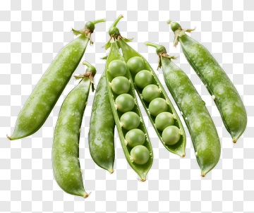 Fresh Green Pea Pods With Water Droplets PNG