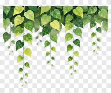 Dangling Green Leaves PNG
