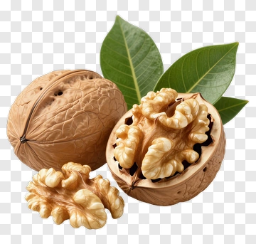 Walnut With Leaf PNG