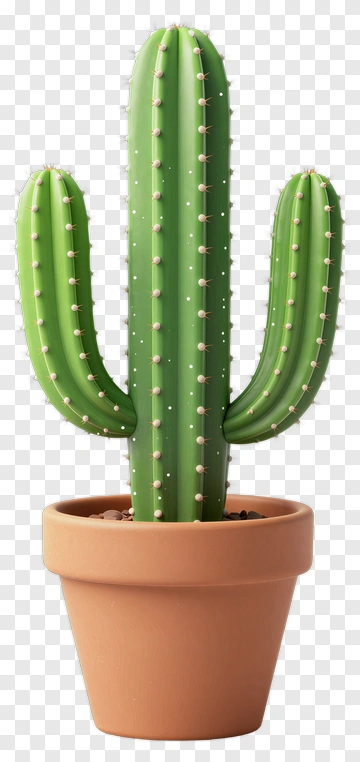 Green Cactus In Terracotta Pot PNG