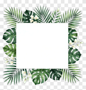 Tropical Leaves And White Flowers Frame PNG