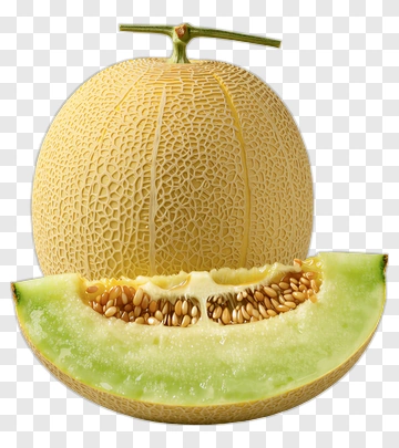 Cantaloupe Melon With Slice PNG