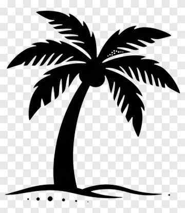 Palm Tree Silhouette PNG