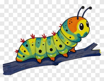 Colorful Caterpillar On Branch PNG