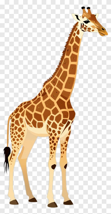 Giraffe PNG
