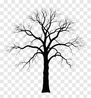 Silhouette Of A Bare Tree PNG