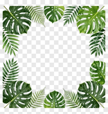 Tropical Leaf Border Design PNG