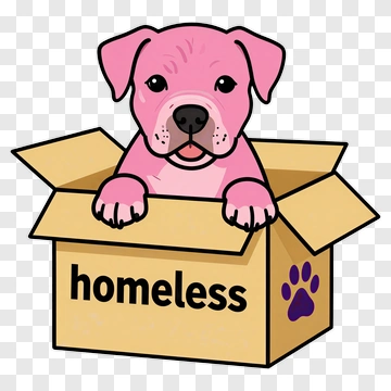 Pink Puppy In A Homeless Box PNG