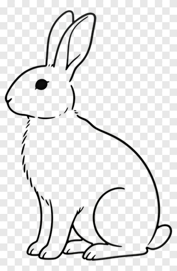 Hand-drawn Rabbit PNG