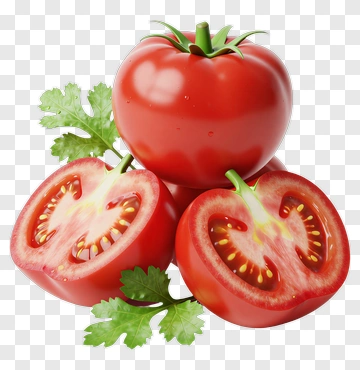 Fresh Tomato With Cilantro PNG