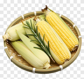Fresh Corn With Rosemary In Bamboo Basket PNG