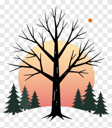 Winter Tree With Sunset PNG