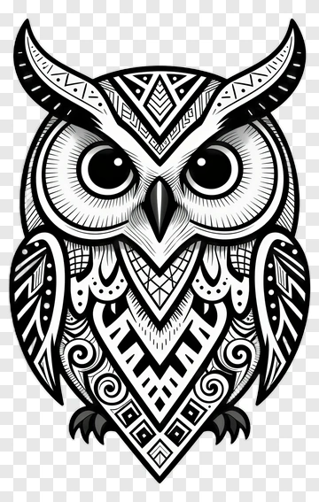 Owl PNG