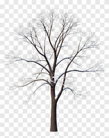 Snow-Covered Bare Tree PNG