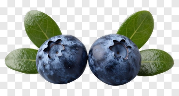 Two Blueberries With Green Leaves PNG