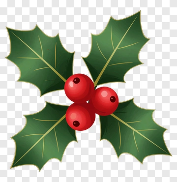 Holly With Red Berries PNG
