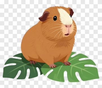 Cute Guinea Pig On Leaf PNG